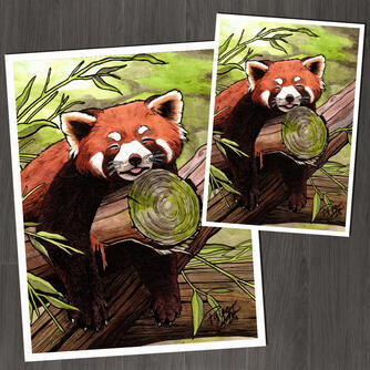 "Sleepy Red Panda" by Paige Critchlow